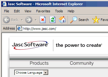 Screenshot of the view with Internet Explorer (Site works)