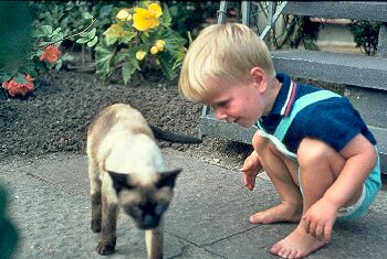 Picture of Armin with a cat