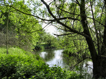 Picture of the Thames near Castle Eaton