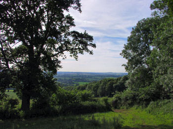 Picture of a view from Bowden Park