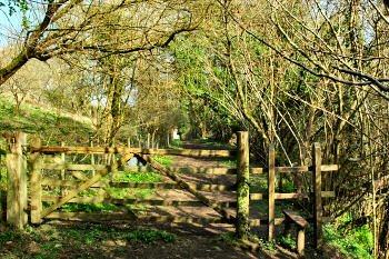 Picture of a footpath with a gate and stile