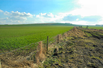Picture of wide fields in the winter sun