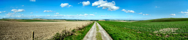 A panoramic view over a downland landscape