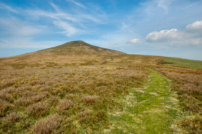 Picture of a path leading to a large hill in the distance (Sugar Loaf, Wales)